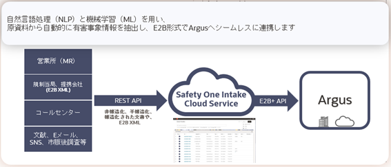 safety one intake_overview