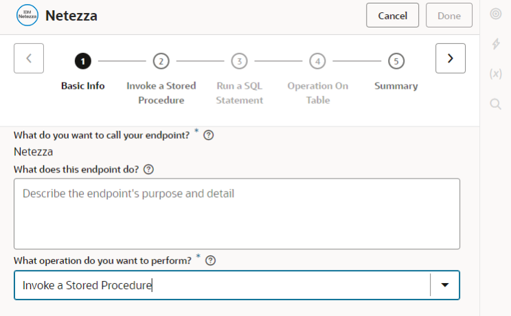 Netezza Invoke Basic