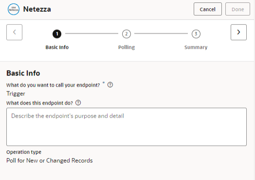 Netezza Triger Basic Info