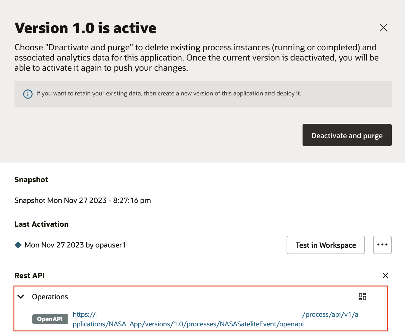 Retrieving the process level OpenAPI specification URL