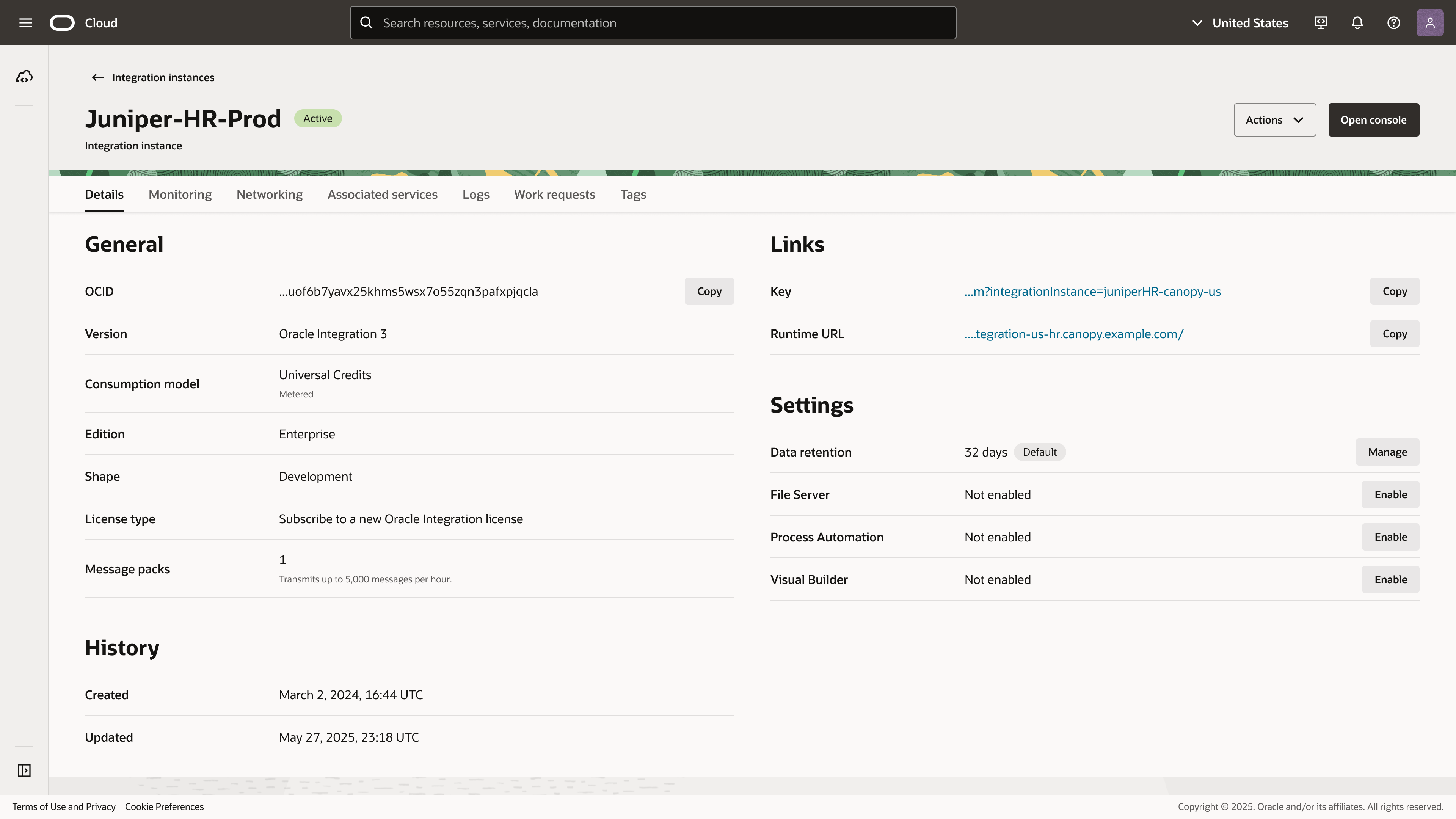 Details page for an Oracle Integration instance