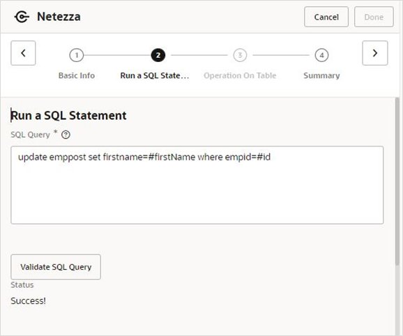 netezza run sql st