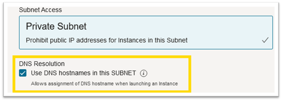 Use DNS hostname in this SUBNET