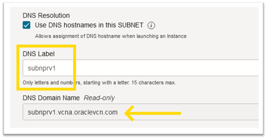 nome de domínio único (DNS Domain Name)