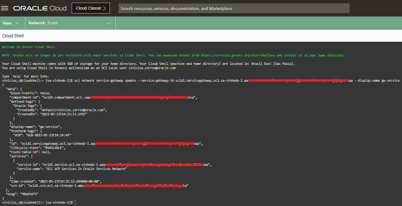 Imagem demonstrando a saída do comando no Cloud Shell