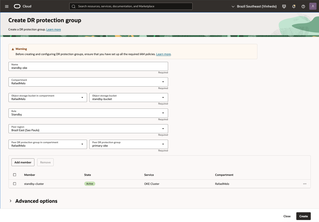 dr-protection-group-standby