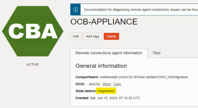 Interface gráfica do usuário, Texto
Descrição gerada automaticamente