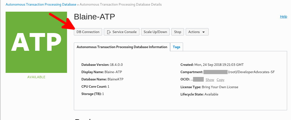 Figure 1: Making the DB connection