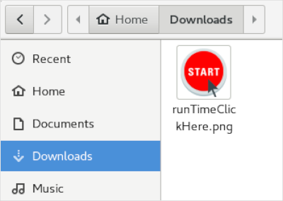 Checking the downloads directory