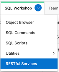 Accessing RESTful Services in APEX