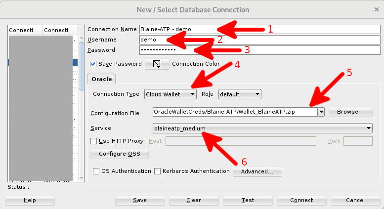 Figure 4: Entering the connection name, username, password, connection type, configuration file, and service in Oracle SQL Developer 