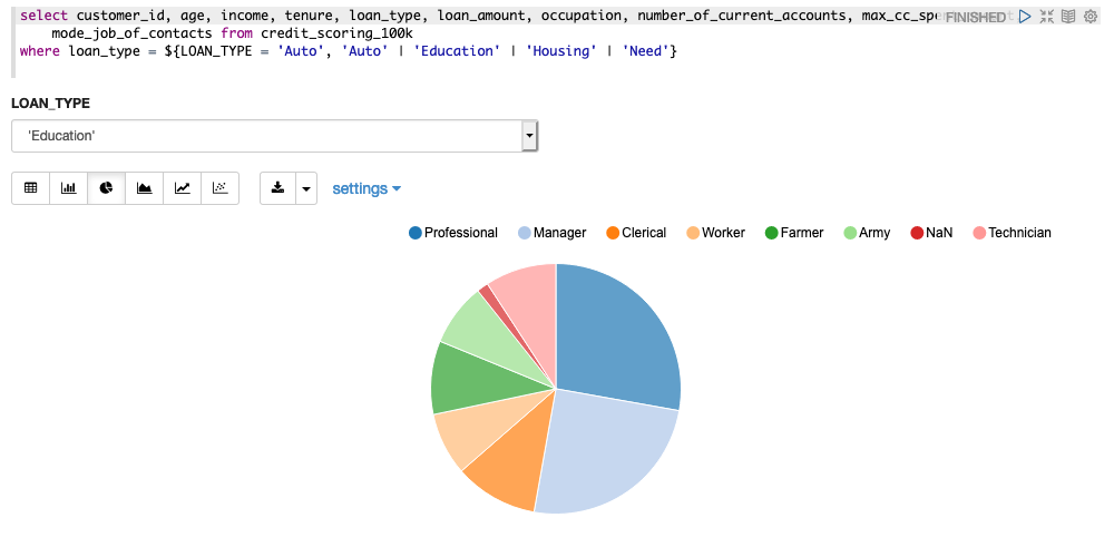 Pie chart with filter on LOAN_TYPE