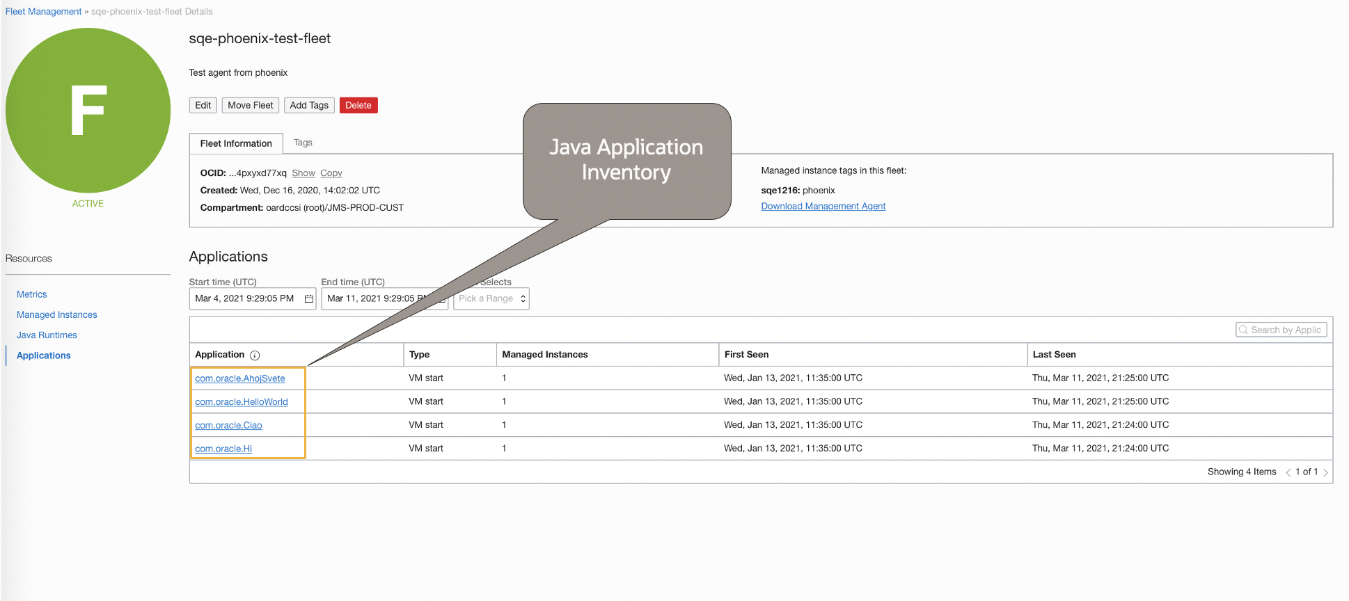 Java application report