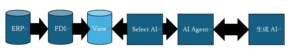 Pattern 1_ERPから抽出した外付けDBを活用