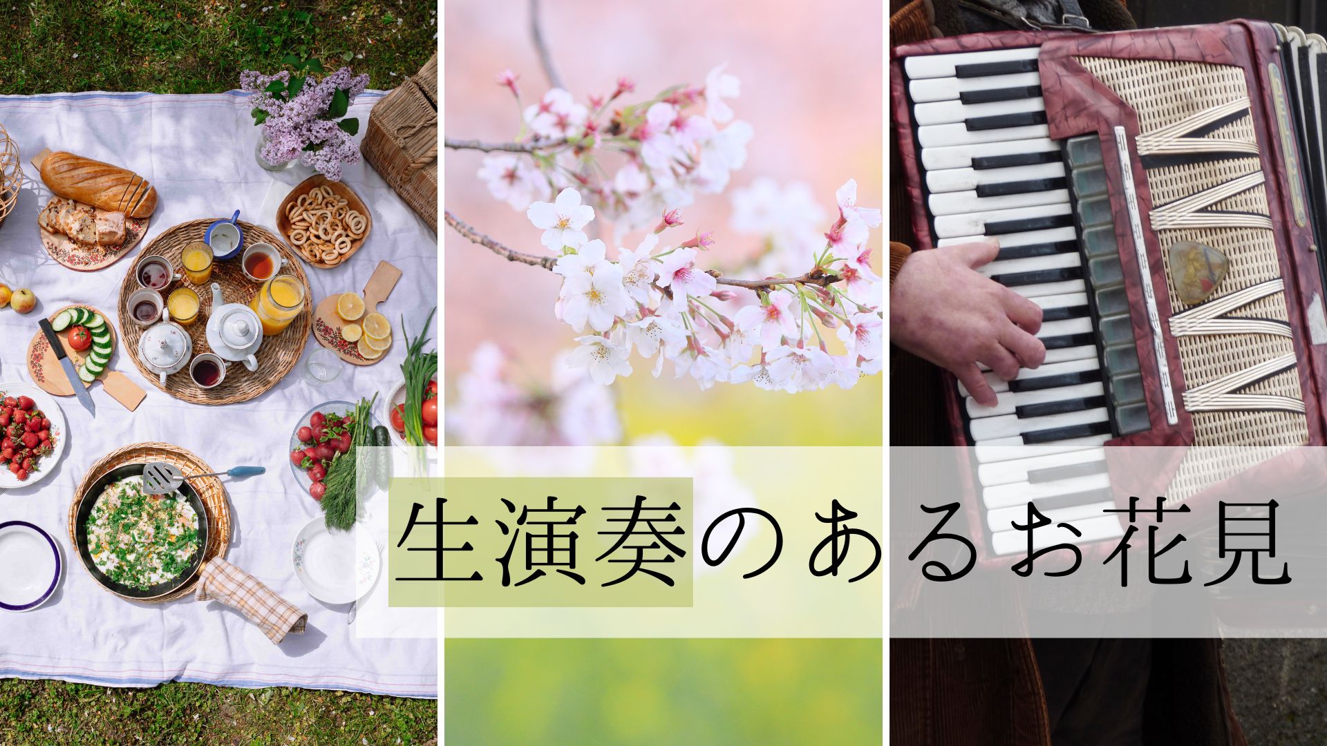 ohanami image