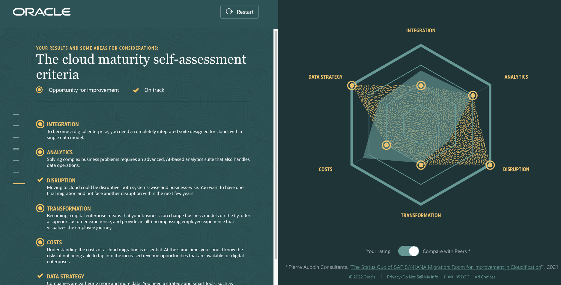 SAP Cloud Assessment image