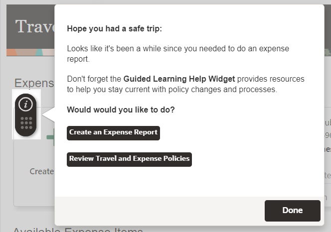 Example of a Expense guide