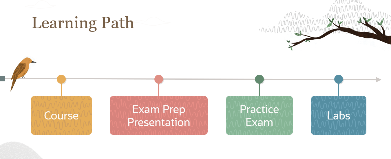 OCI 2025 Networking Professional Certification Learning Path