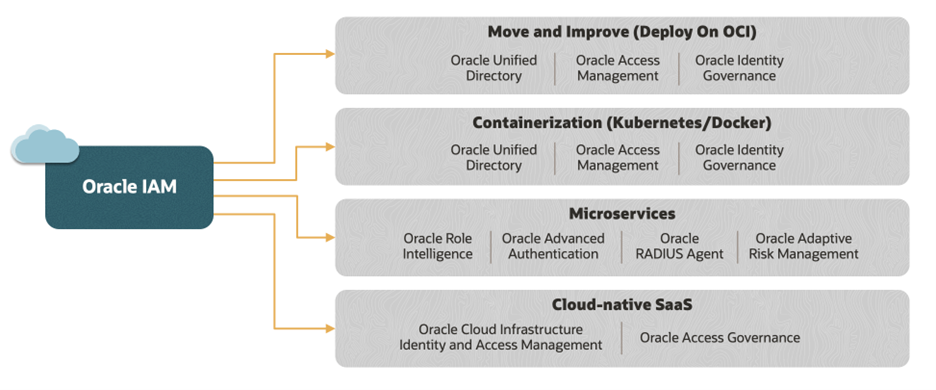 Paths to modernizing IAM
