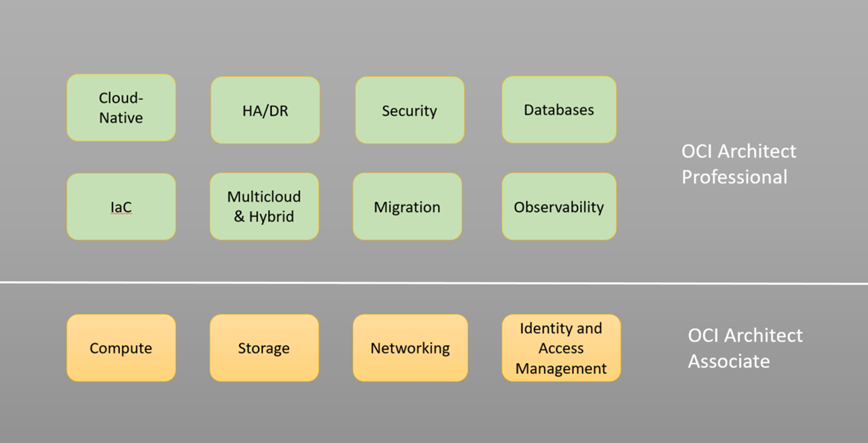 Architect Associate and Architect Professional Coverage