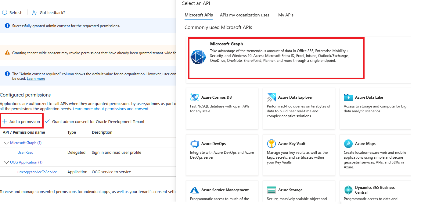 Add Graph App Permission