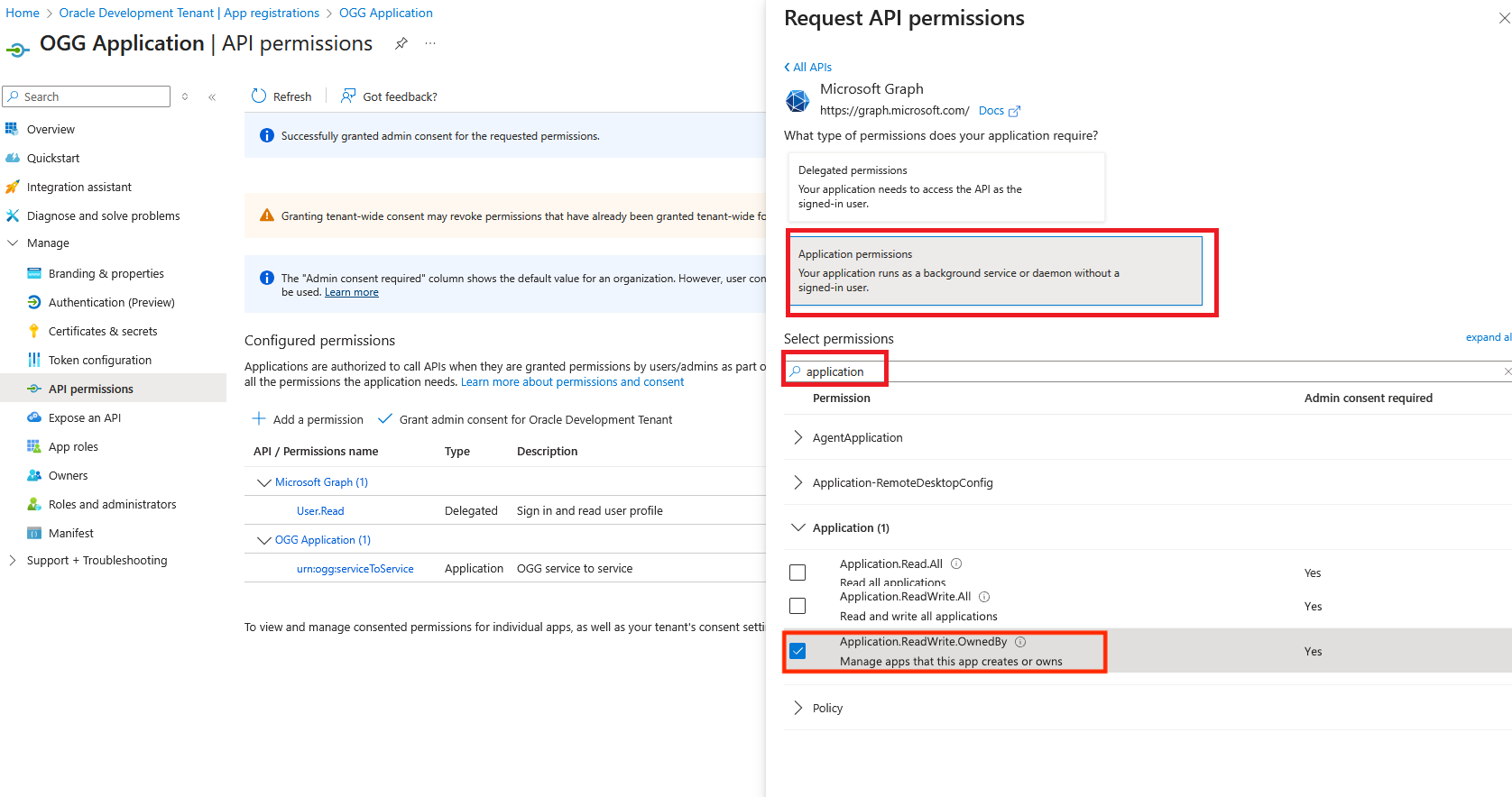 Permission Applicatoin.ReadWrite.OwnedBy