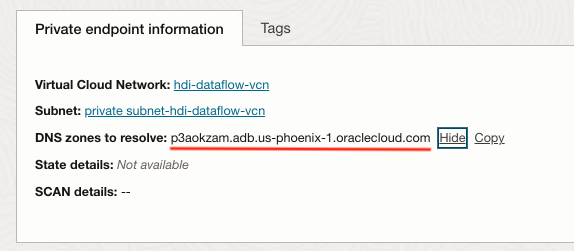ADB DNS Zones to Resolve