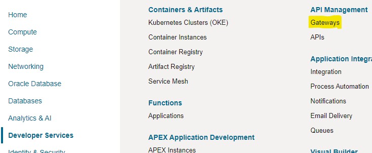 Navigate to Developer Services, API Management, Gateways