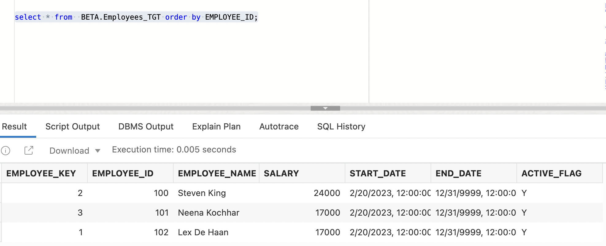 Figure 12: Employees_TGT table after the initial data load
