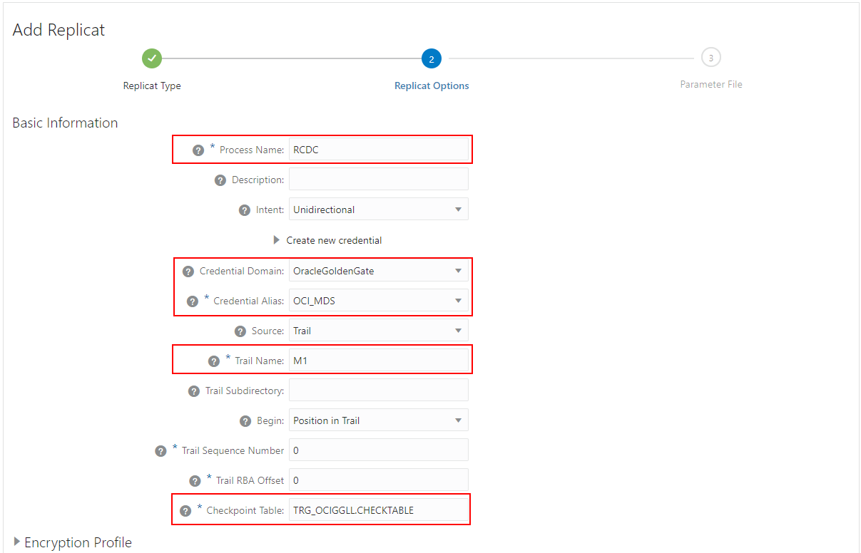 Replicat options in GoldenGate Console