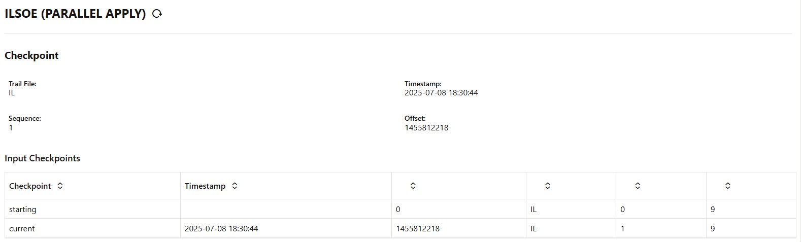 Image 5 : Initial Load Replicat Checkpoint Detail