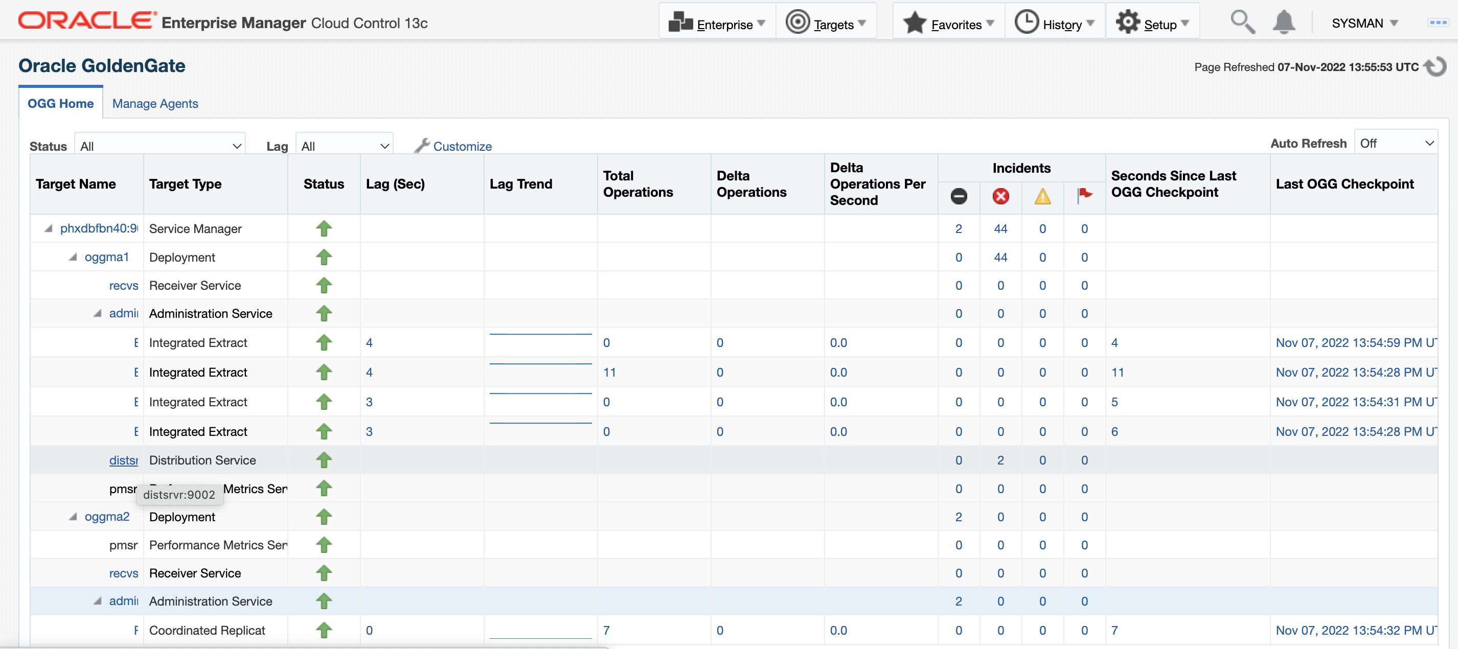 Oracle GoldenGate home page with Deployment details