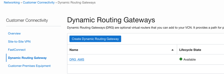 Dynamic Routing Gateways