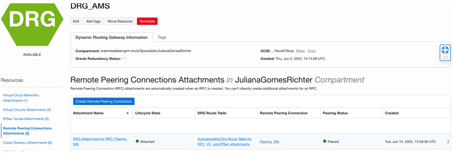 Remote Peering Connection in Amsterdam