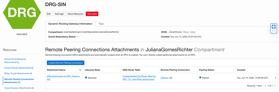 Remote Peering Connection in Singapore