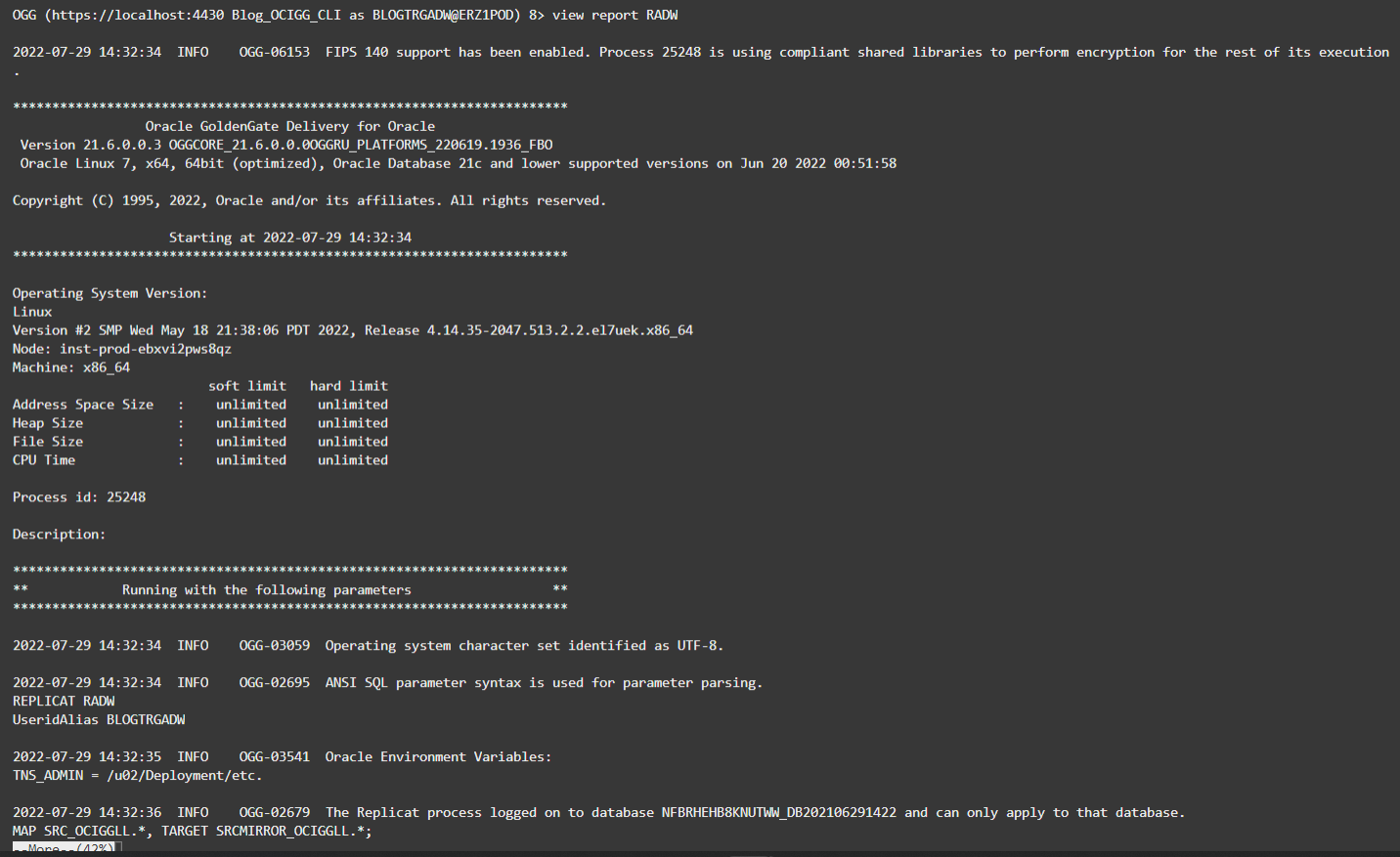 Report file in Admin Client