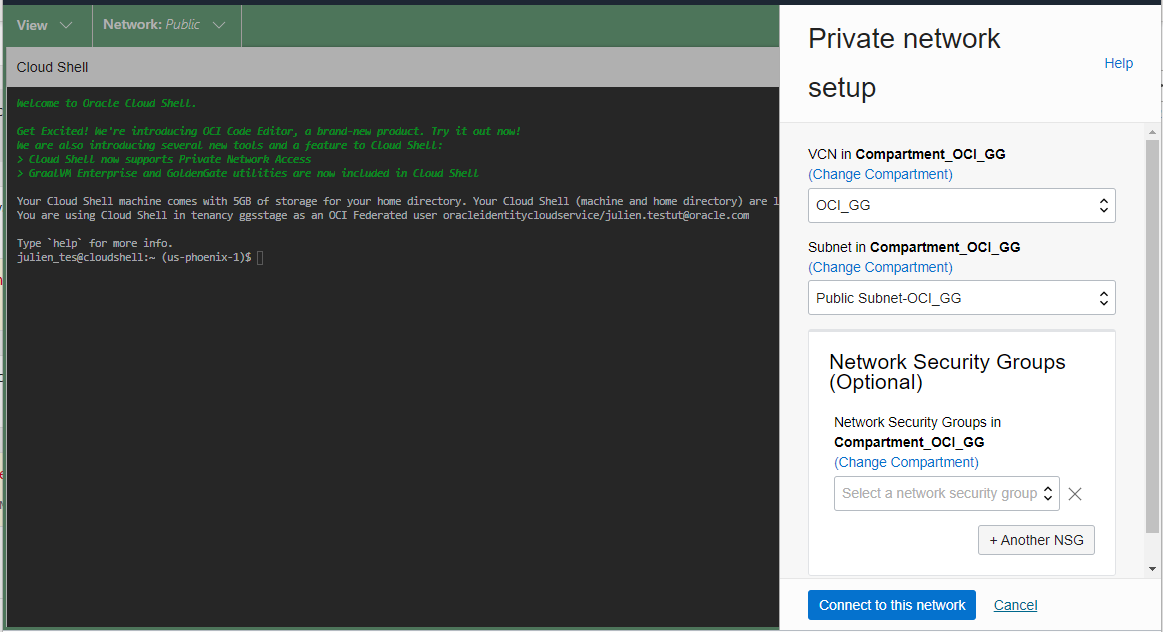 Seeting up Private network in Cloud Shell