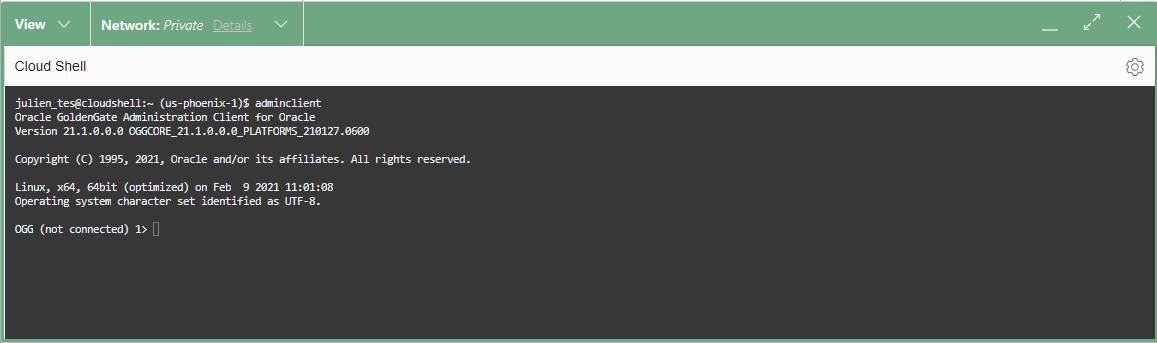 Admin Client in Cloud Shell