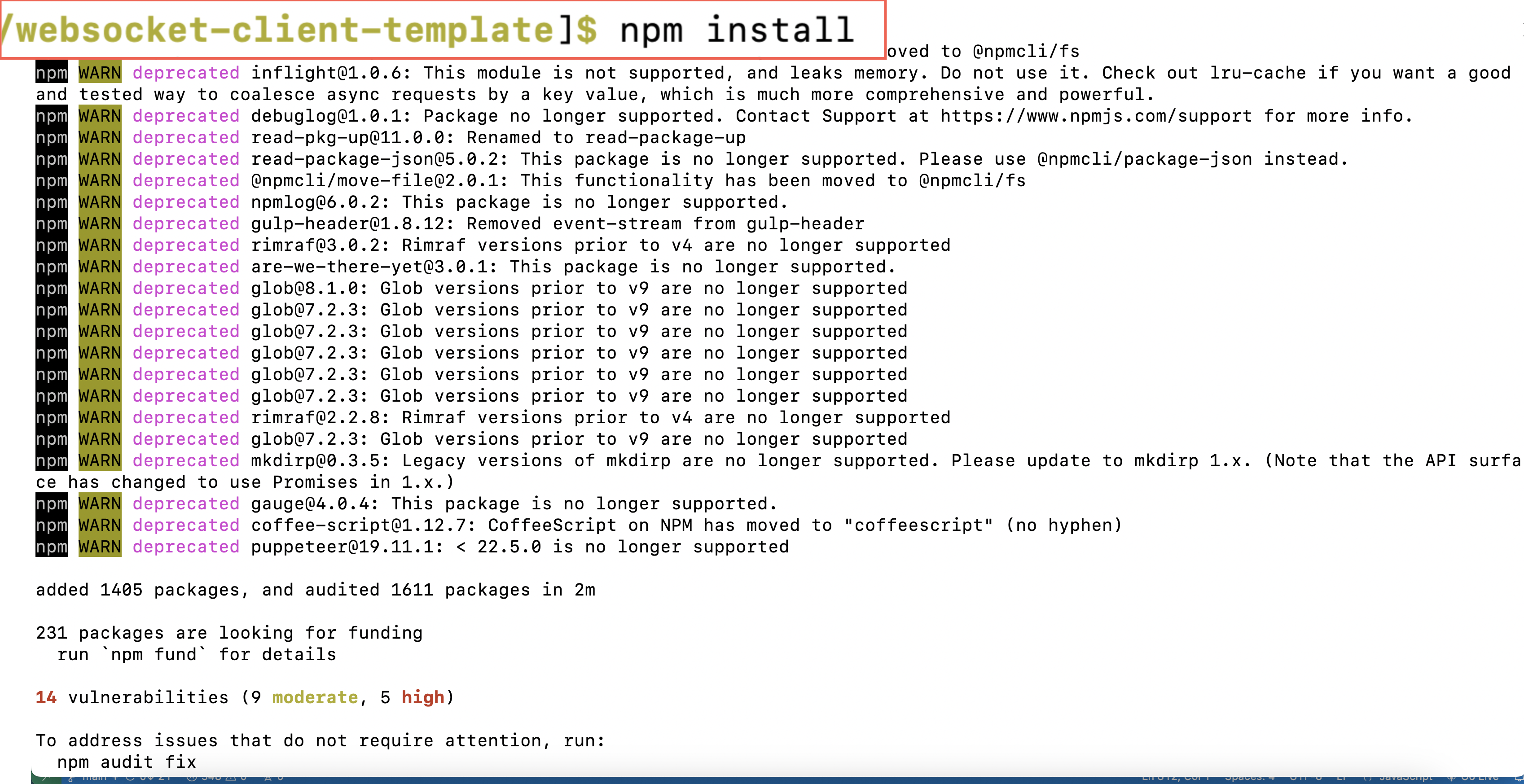 npm install output