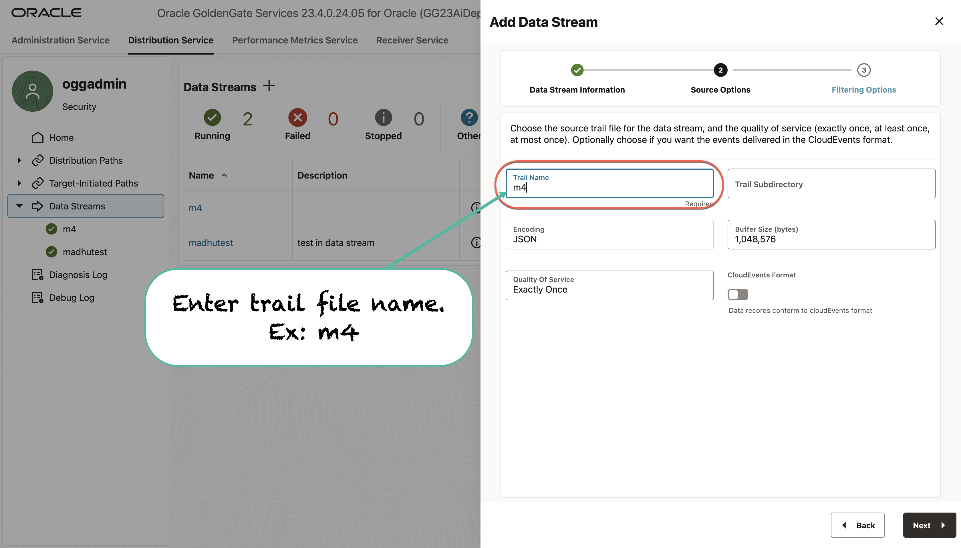 data stream creation pages trail name