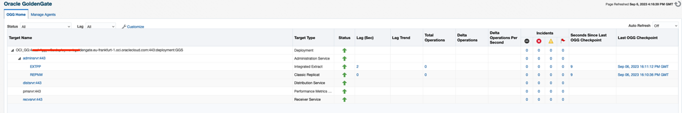 Oracle GoldenGate Page in EM
