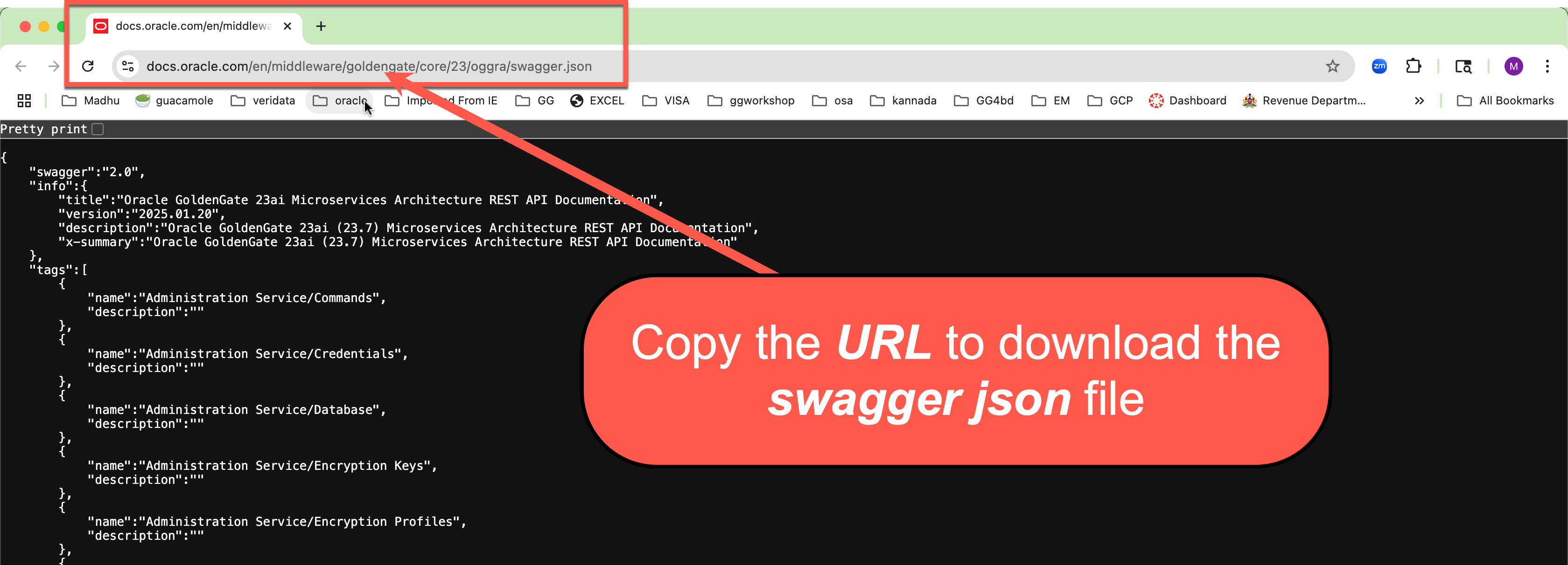 copy the swagger json