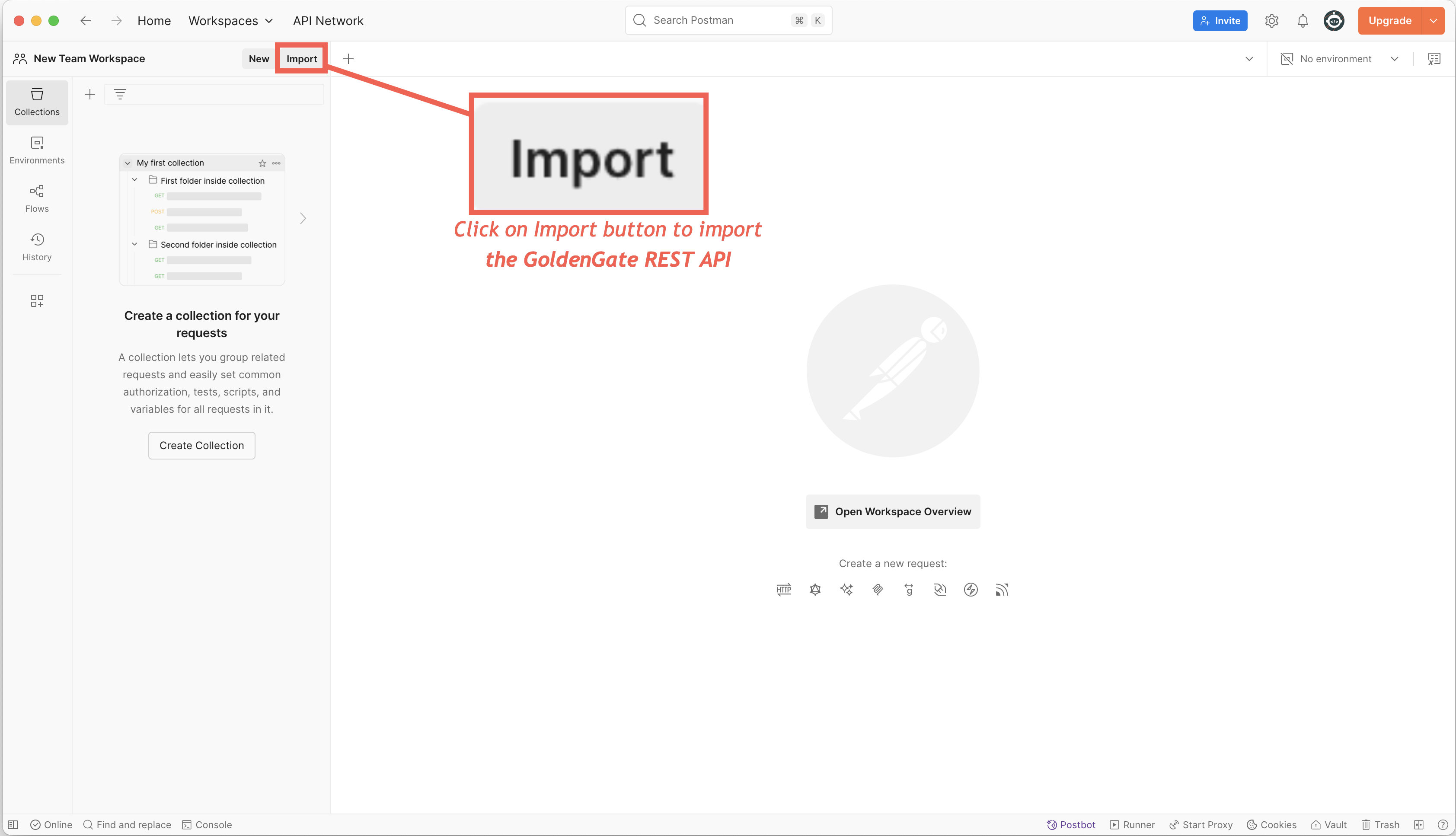import icon