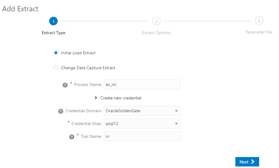 Initial Load Extract