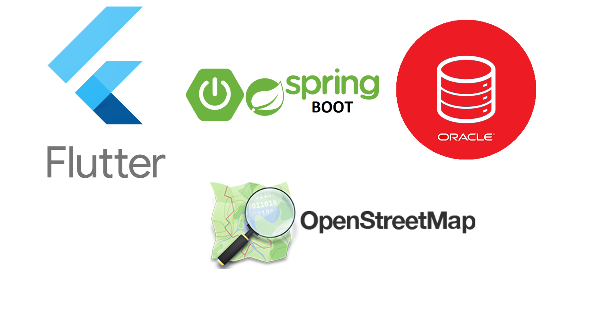 flutter springboot oracle spatial