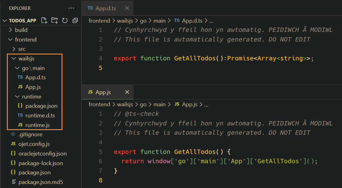 JS and TS typedef files under “frontend/wailsjs” 