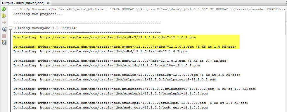 NetBeans- successful download