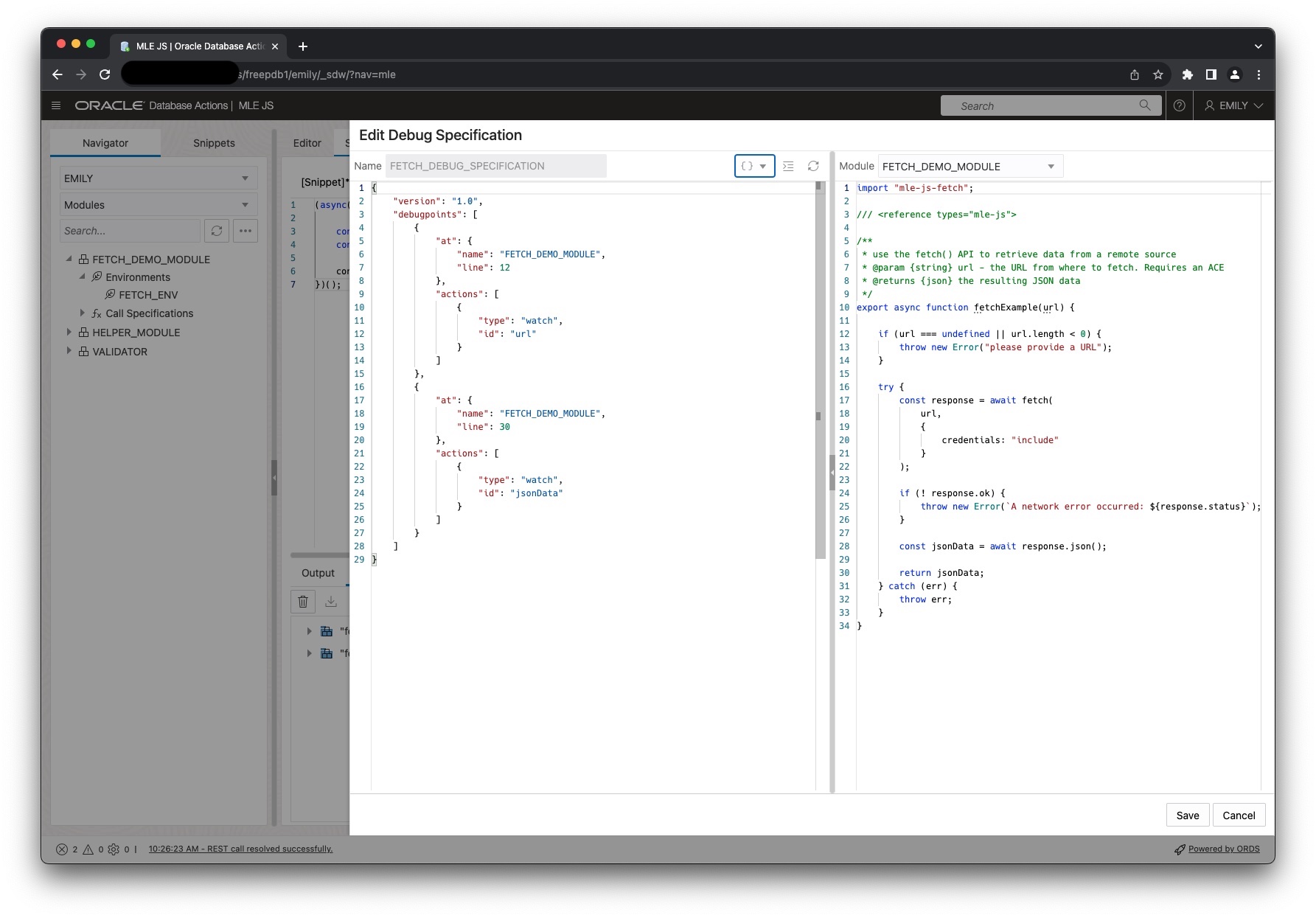 Final debug specification
