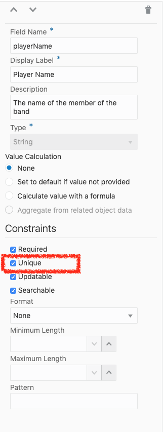 Screen shot of the Visual Builder field definition panel showing the highlighted unique option