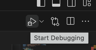 start debugging in vscode